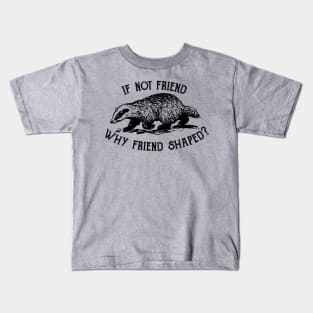 If not friend, why friend shaped? Kids T-Shirt